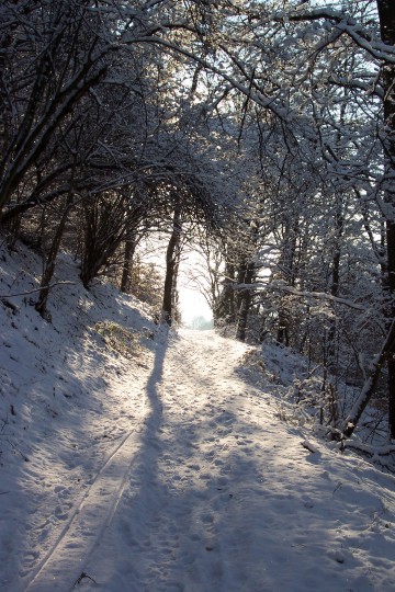 Winterbilder_Dez_2005_007